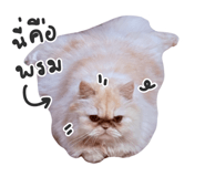 864999840