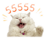 864999868