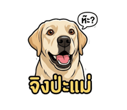 865000452