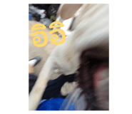 865000463