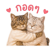 865001126