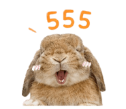 865001435