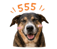 865001449