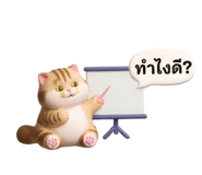 865002146