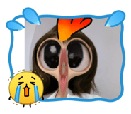 865003054