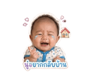 865005444