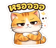 865005571