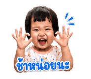 865005592