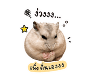 865005972