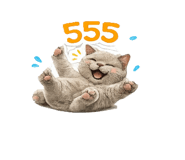 865006050