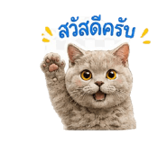 865006061