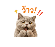 865006062