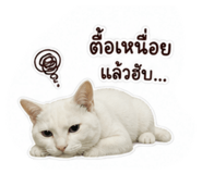 865006362