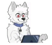 865006552