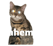 865006713