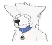 865006874