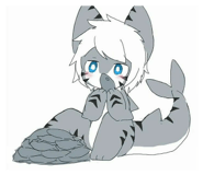 865006879