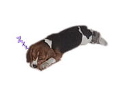 865007330