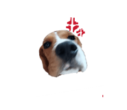 865007334