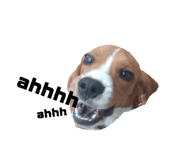 865007336