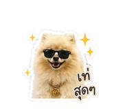 865007487