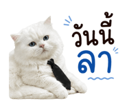 865007895