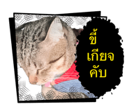 865007944