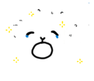 865008072
