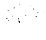 865008074