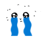 865008079