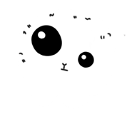 865008081