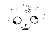 865008094
