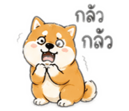 865008179