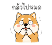 865008181