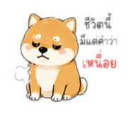 865008192