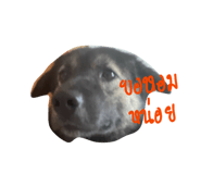 865008208
