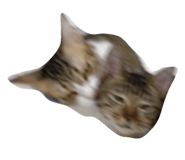 865008506