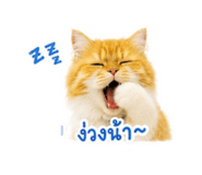 865009138