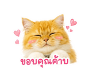 865009140