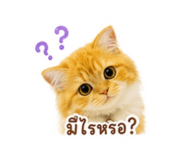 865009142