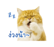 865009159