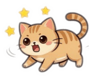 865009794