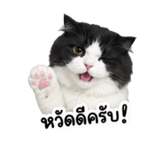 865012166