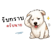 865012978
