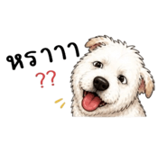 865012981