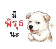 865012982