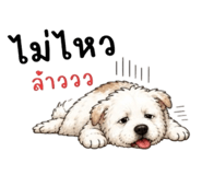 865012985