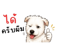 865012988