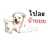 865012992