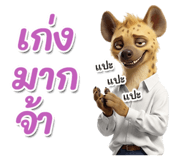 865013654